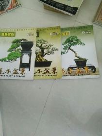 花木盆景2007,7,8,9三本   j