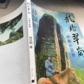 龙腾翠岗，宁都作家，汕头祖籍