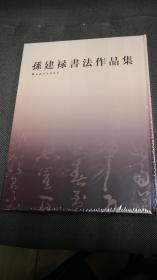 当代知名书法家：孙建禄书法作品集　