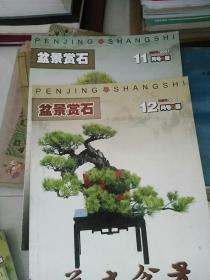 花木盆景2007,11,12    j