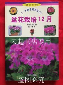 盆花栽培12月