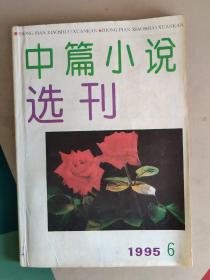 中篇小说选刊  1995.6
