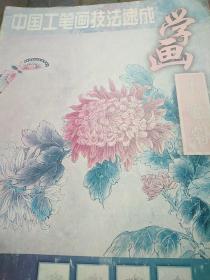 学画《工笔菊》