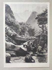 朝鲜明信片《金刚山》