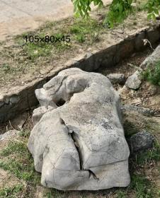 太湖石，奇石
似盘龙，像卧牛，上万年流水风化侵蚀，原生态天然去雕饰，可做园林人文景观，观赏价值高，难得一见