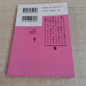 日文原版书 セイフティボックス