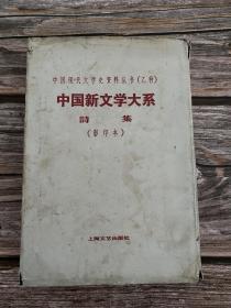 中国现代文学史资料丛书（乙种）：中国新文学大系诗集（影印本）