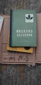 橡胶无性系形态鉴定方法及其图谱