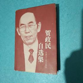 贺政民自选集