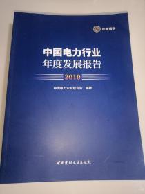 中国电力行业年度发展报告 2019【有涂层防伪标 大16开 2019年一印】