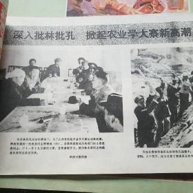 延安画刊 1975年4.10.12。共3期