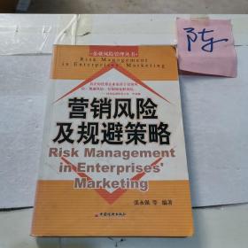 营销风险及规避策略——企业风险管理丛书