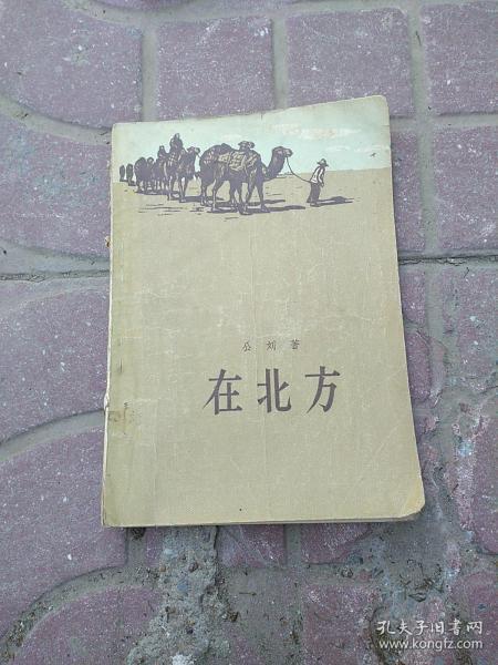 在北方