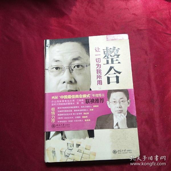 模式4·整合：让一切为我所用