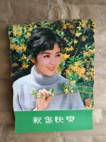 挂历---明星挂历－－1981年13张全！内有陈冲，刘晓庆，唐国强，刘雪华等～