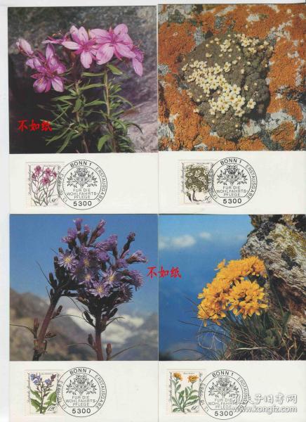 MC024德国邮票 西德 1983年 濒临灭绝的高山花卉 4全极限片 DD
