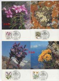 MC024德国邮票 西德 1983年 濒临灭绝的高山花卉 4全极限片 DD