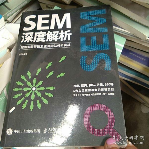 SEM深度解析 搜索引擎营销及主流网站分析实战