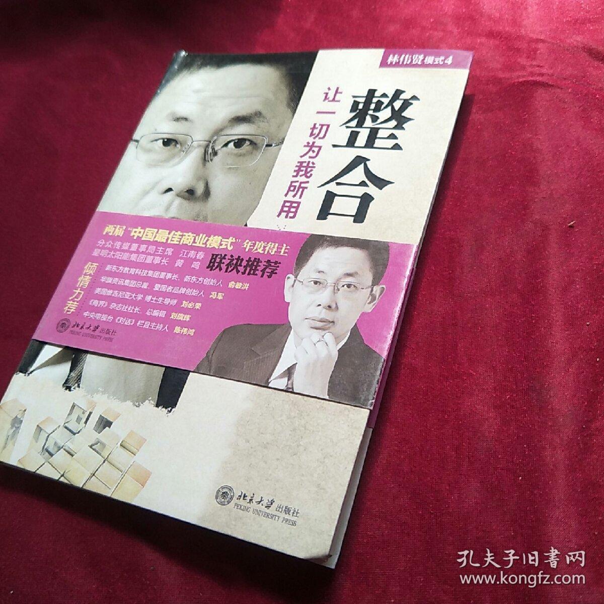 模式4·整合：让一切为我所用