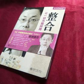 模式4·整合：让一切为我所用