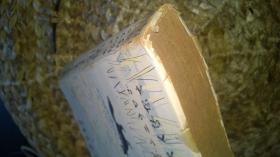 日文 幕末日本见闻录