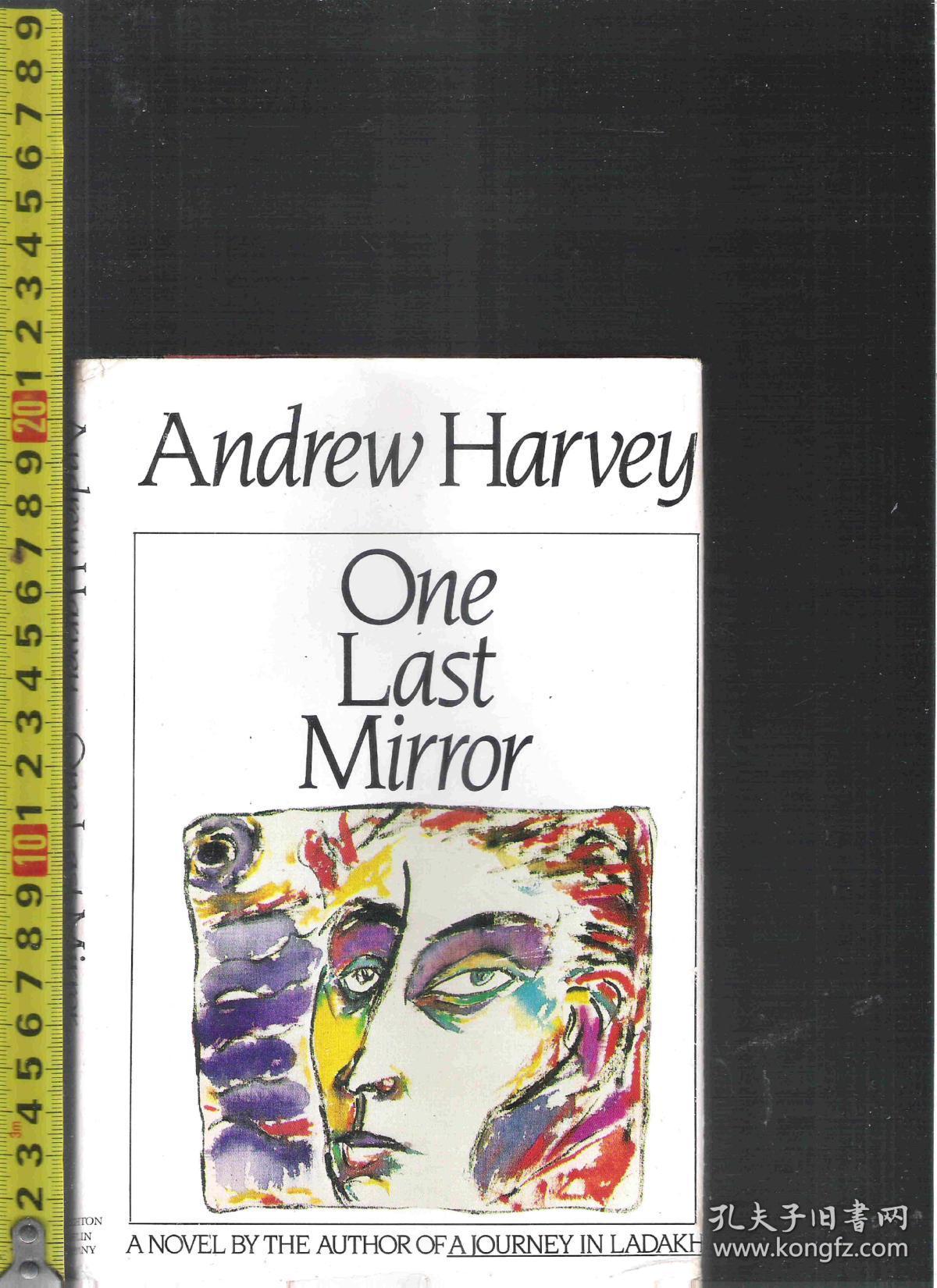 【精装本礼品书】原版英语小说 One Last Mirror / Andrew Harvey【店里有许多英文原版小说欢迎选购】