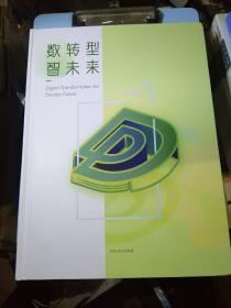 数转型智未来——2019上海数慧系统技术有限公司年报