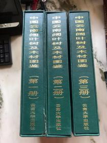 中国云南阔叶树及木材图鉴（全三册）1999年一版一印  精装带函套  品好！