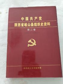 中国共产党陕西省岐山县组织史资料第三卷（1993.6---1998.5）