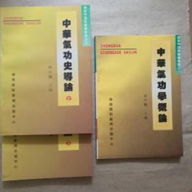 中华气功史导论（上下册） 中华气功学基础教程之三+中华气功学概论 中华气功学基础教程之一【 正版全新 一版一印 实拍如图 】（3册合售）