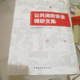 公共消防安全调研文集