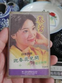 迎春花儿开秦蕾演唱90