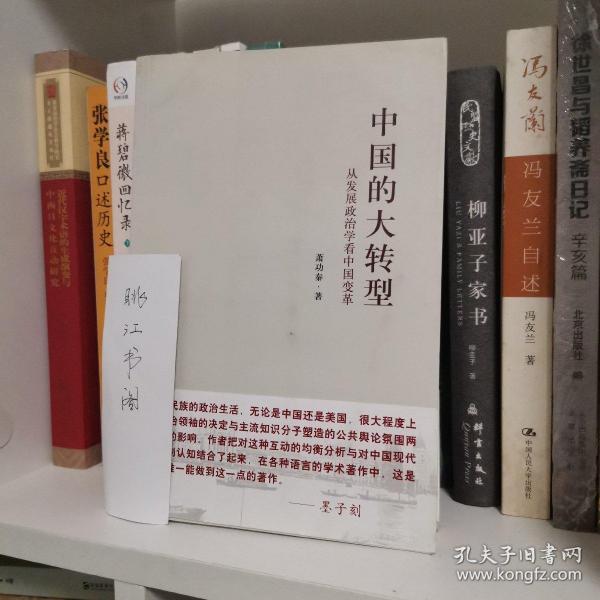 中国的大转型：从发展政治学看中国变革