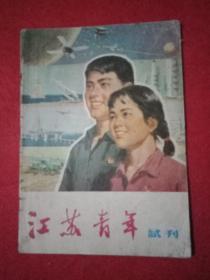 1979年版《江苏青年》试刊（载有南通县平潮饭店服务员范杰霞先进事迹；扬州市第五中学黄惠芬老师帮助差生孔祥云转变先进的事迹；句容县郭纲琳烈士的事迹；陈惠龄陈景和的连环画《看台上的运动员》；晨阳《积极参加真理标准的讨论》；高尔基、法布尔、清代文学家王国维励志成才的故事；邗江县知识青年许扣弟追求纯真爱情的故事；徐沛的杂文《时间》；朱玲的散文《洪泽湖颂》；张安生的小小说《春兰的心》；刘宗棠黄瑞康的诗）