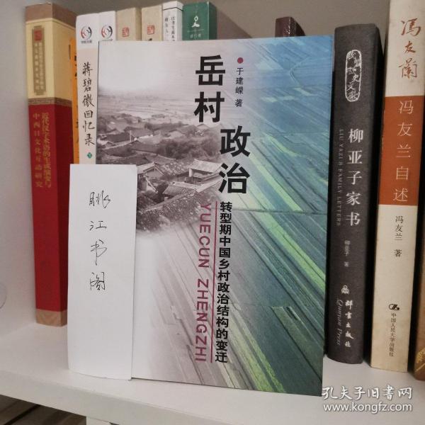 岳村政治：转型期中国乡村政治结构的变迁