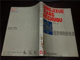 中国经济学向何处去 /杨欢进著 中国物价出版社 1991年一版2印 大32开平装