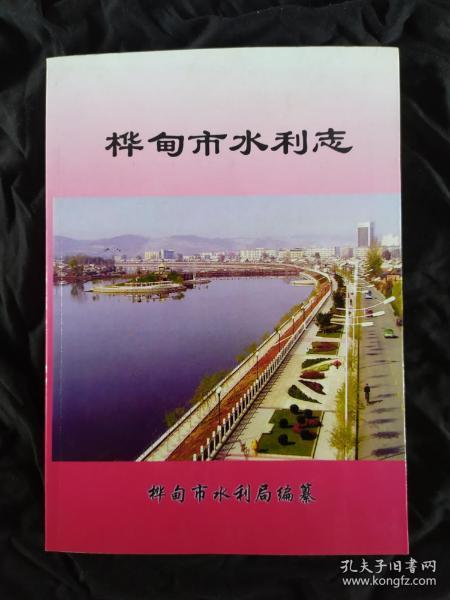 桦甸市水利志