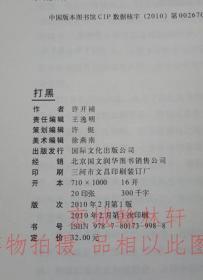 打黑    2010 官场小    说正版