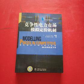 竞争性电力市场模拟定价机制 有防伪