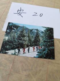 明信片  体育 滑雪   博格达峰