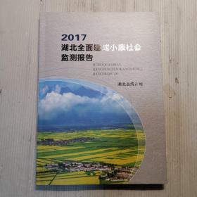 2017湖北全面建成小康社会监测报告   无字迹
