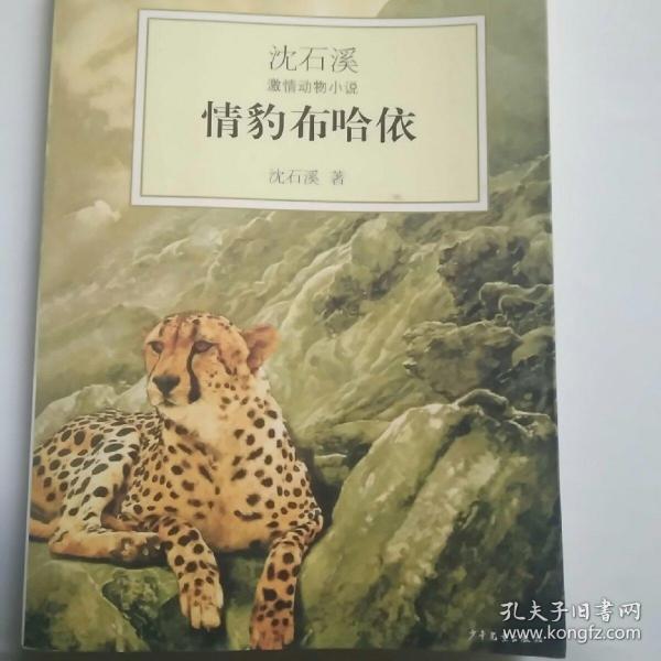 情豹布哈依：沈石溪激情动物小说