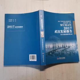 2017武汉发展报告