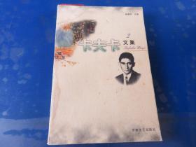 卡夫卡文集 2