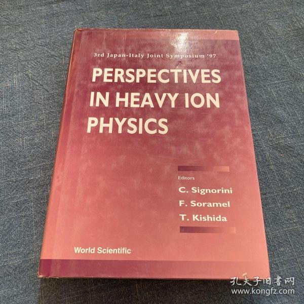 PERSPECTIVES IN HEAVY ION PHYSICS