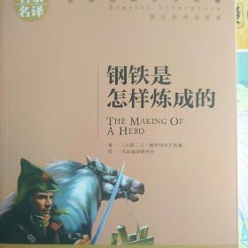 钢铁是怎样炼成的 名家名译世界经典文学名著 原汁原味读原著