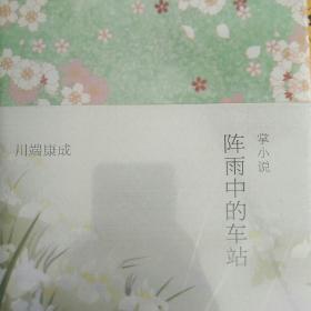阵雨中的车站