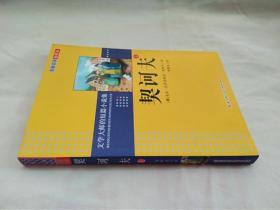 文学大师的短篇小说集 契诃夫卷（名家名译插图本）