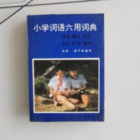 小学词语六用词典