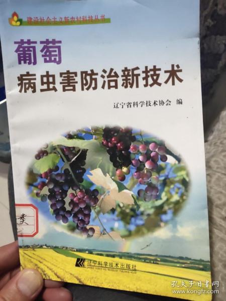 葡萄病虫害防治新技术